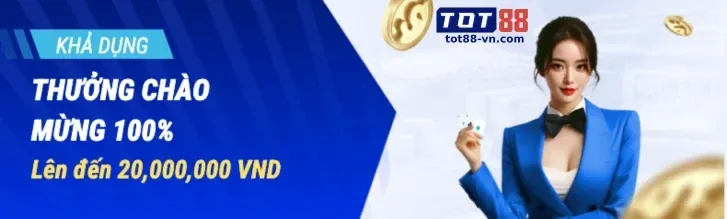 Live Stream Chất Lượng Cao